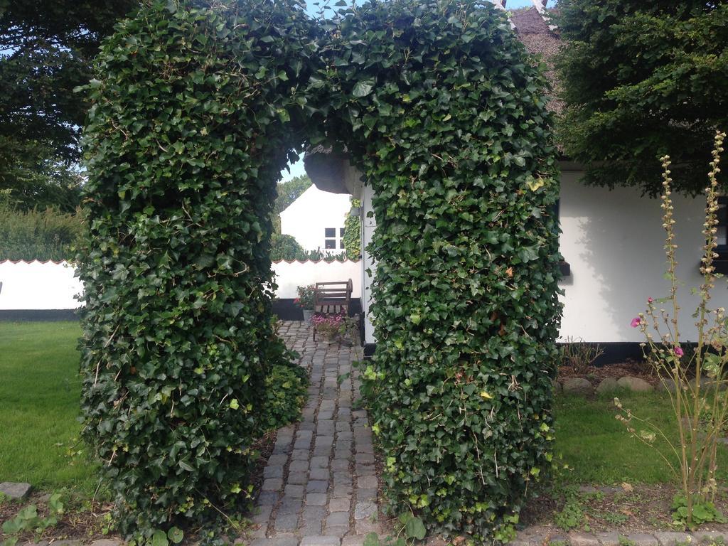 Hostal Rane Ladegaard Ebeltoft Exterior foto