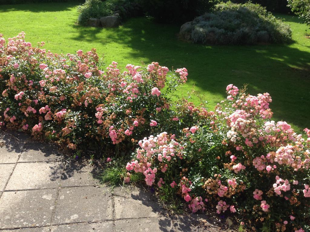 Hostal Rane Ladegaard Ebeltoft Exterior foto