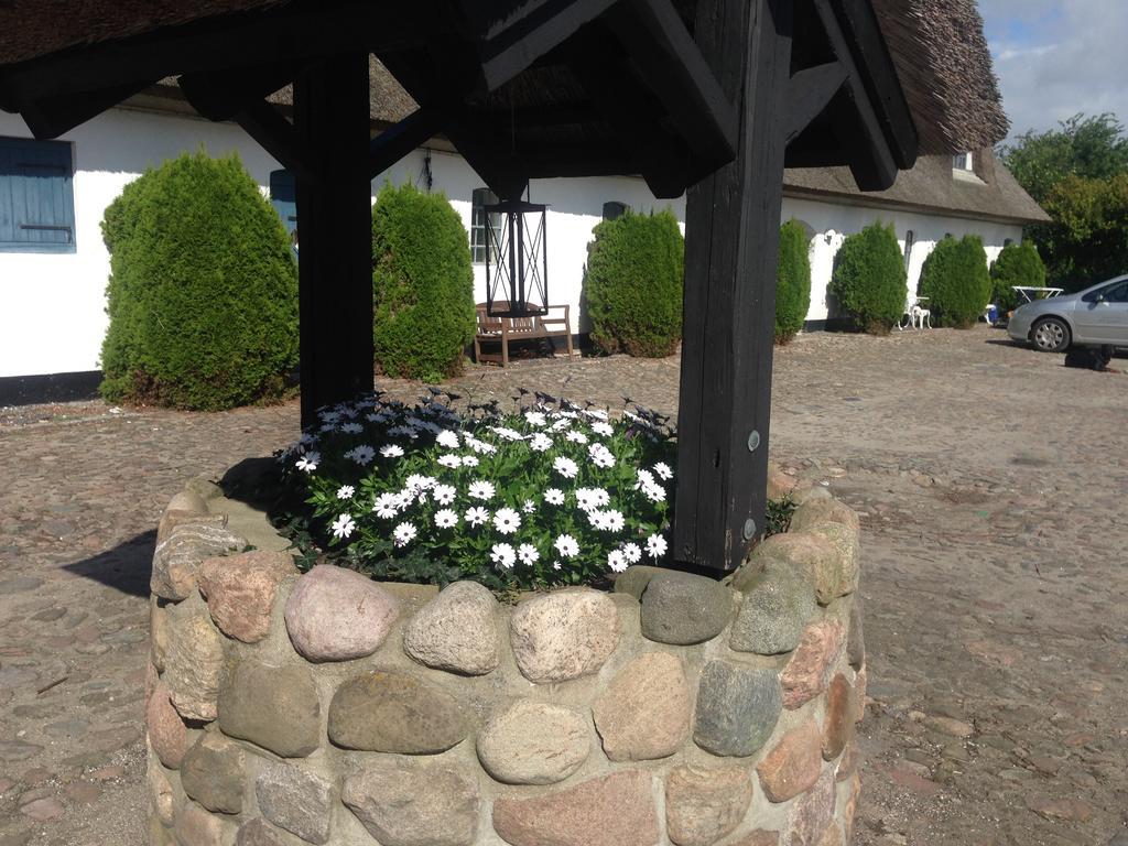 Hostal Rane Ladegaard Ebeltoft Exterior foto